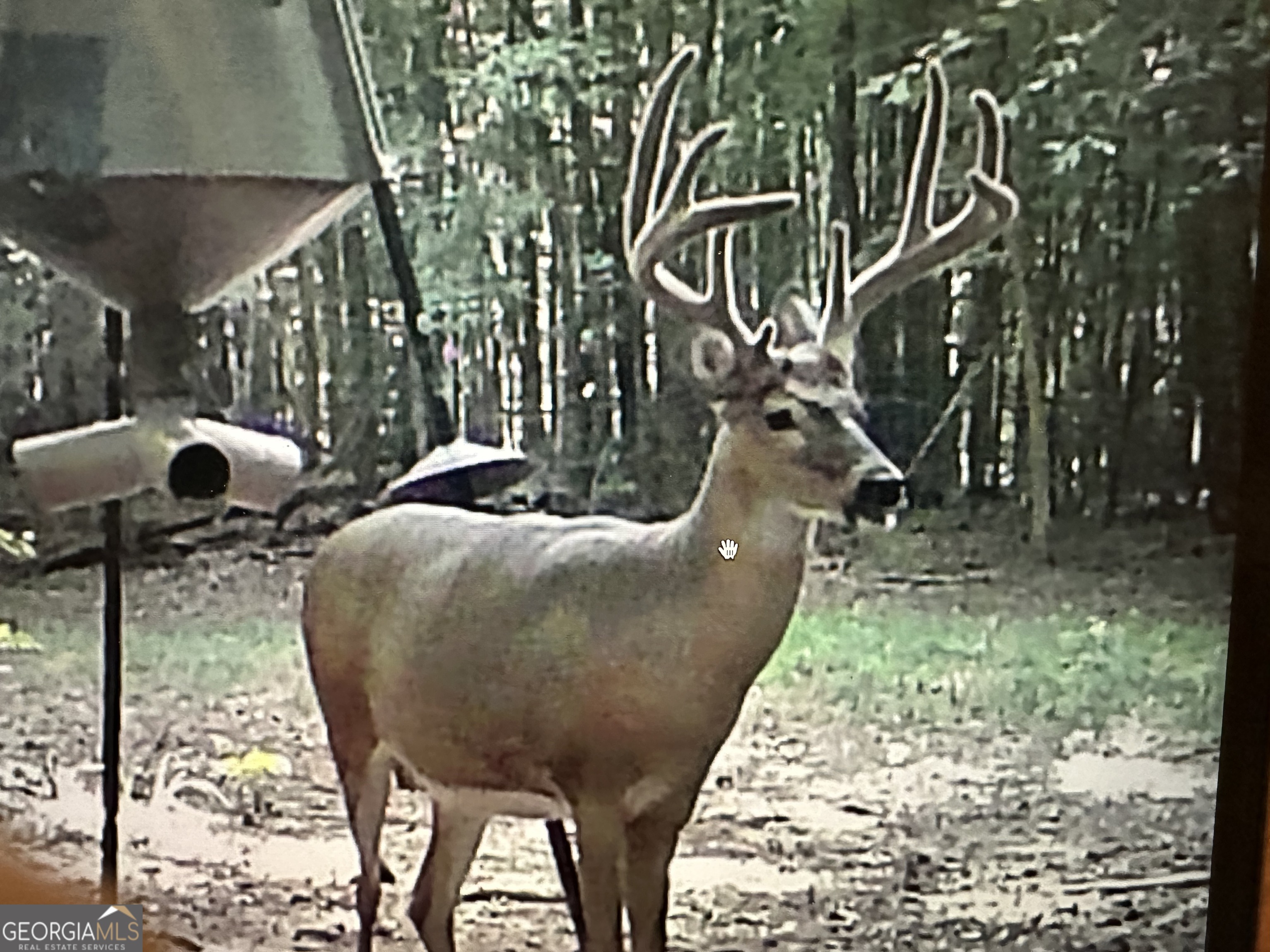 1050 Cedar Grove Drive