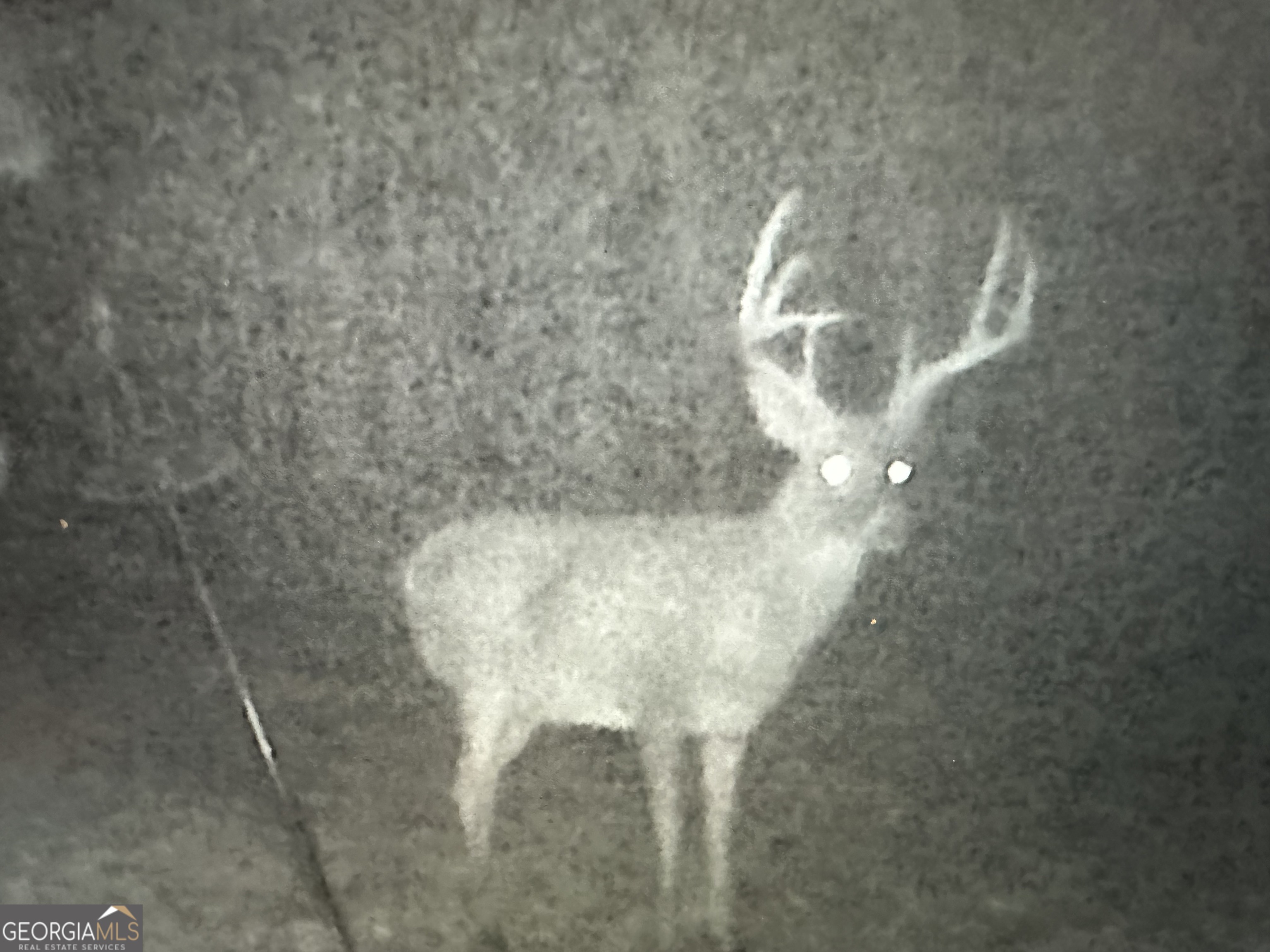 1050 Cedar Grove Drive