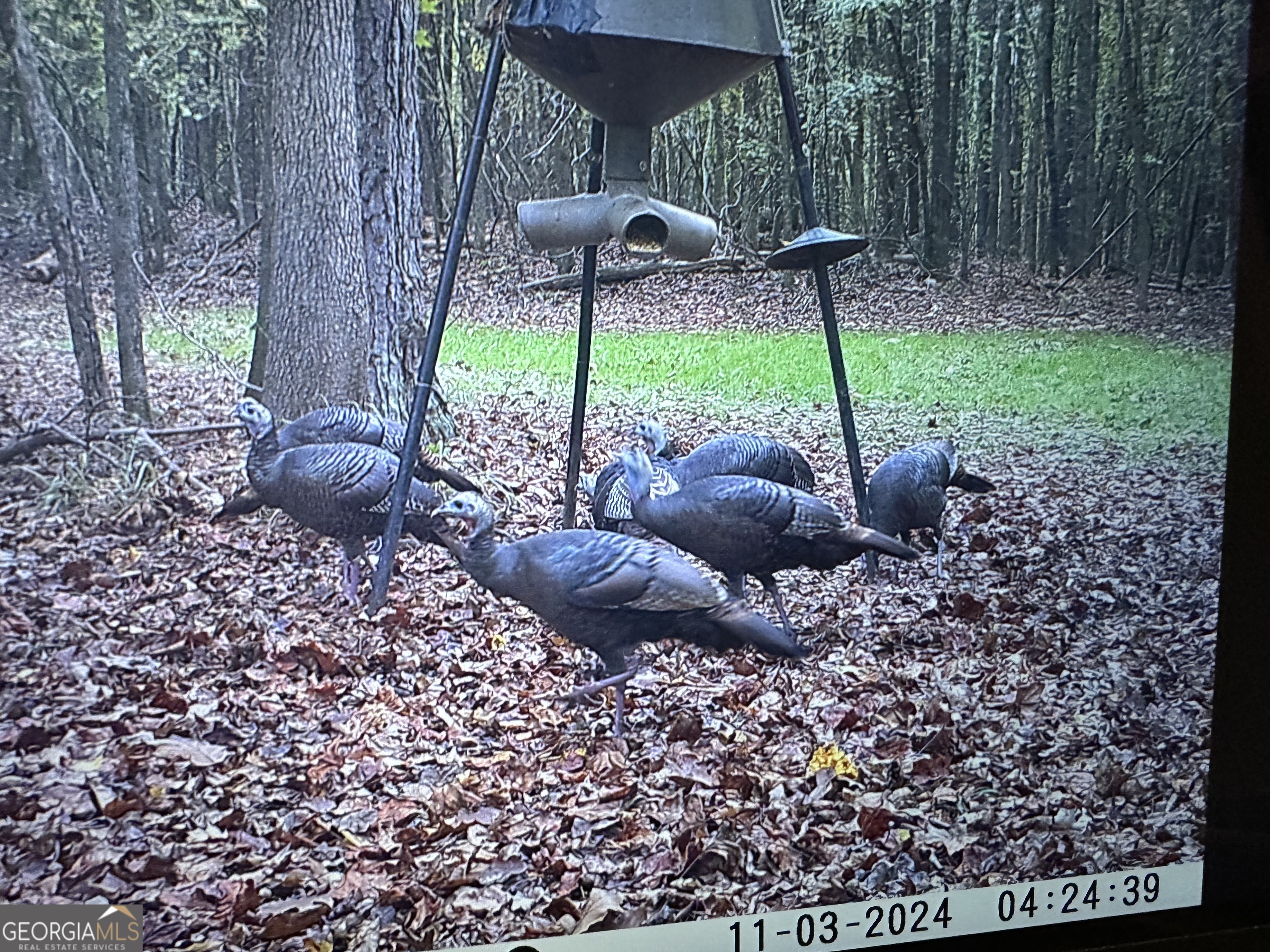 1050 Cedar Grove Drive