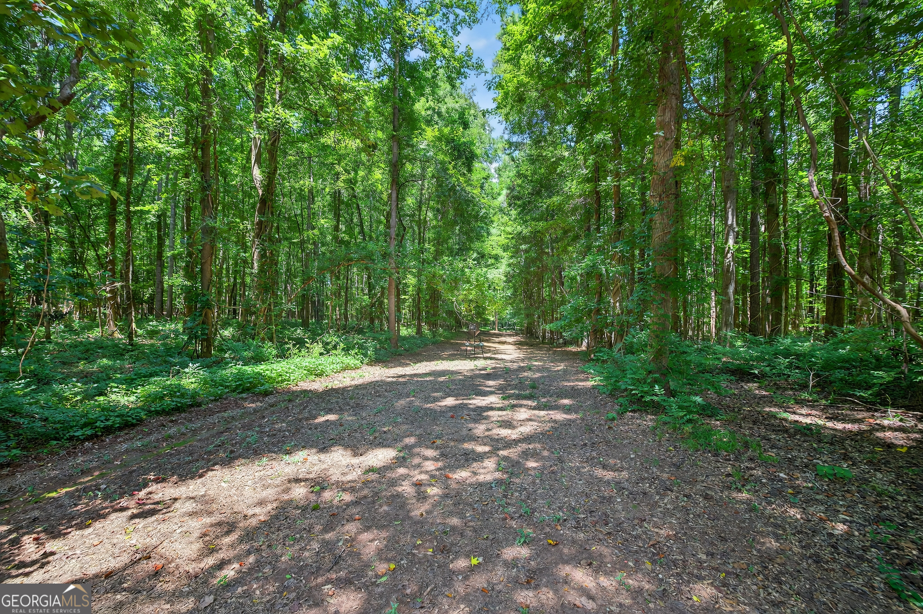 1050 Cedar Grove Drive