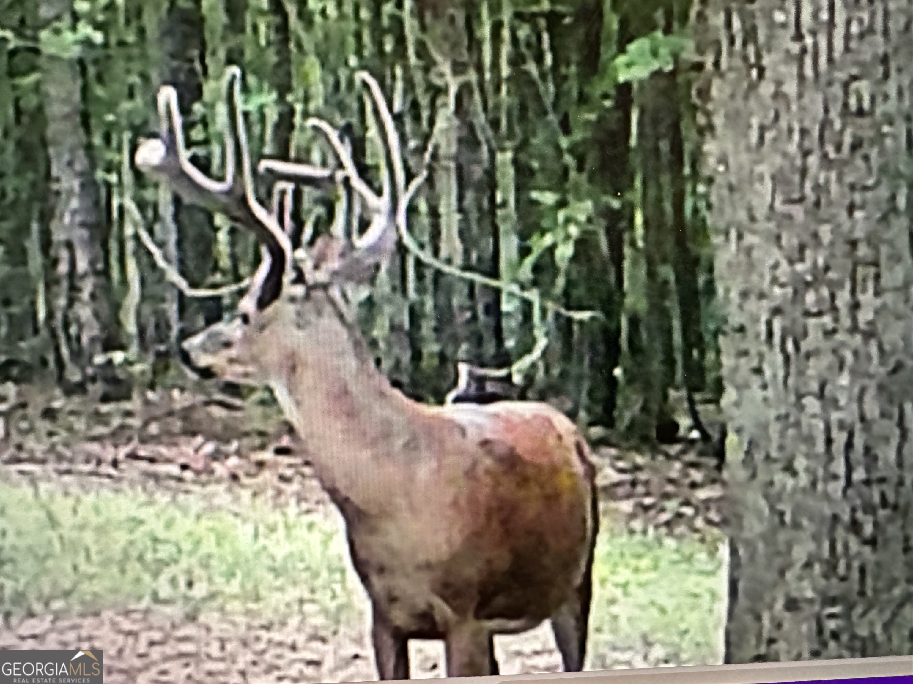 1050 Cedar Grove Drive