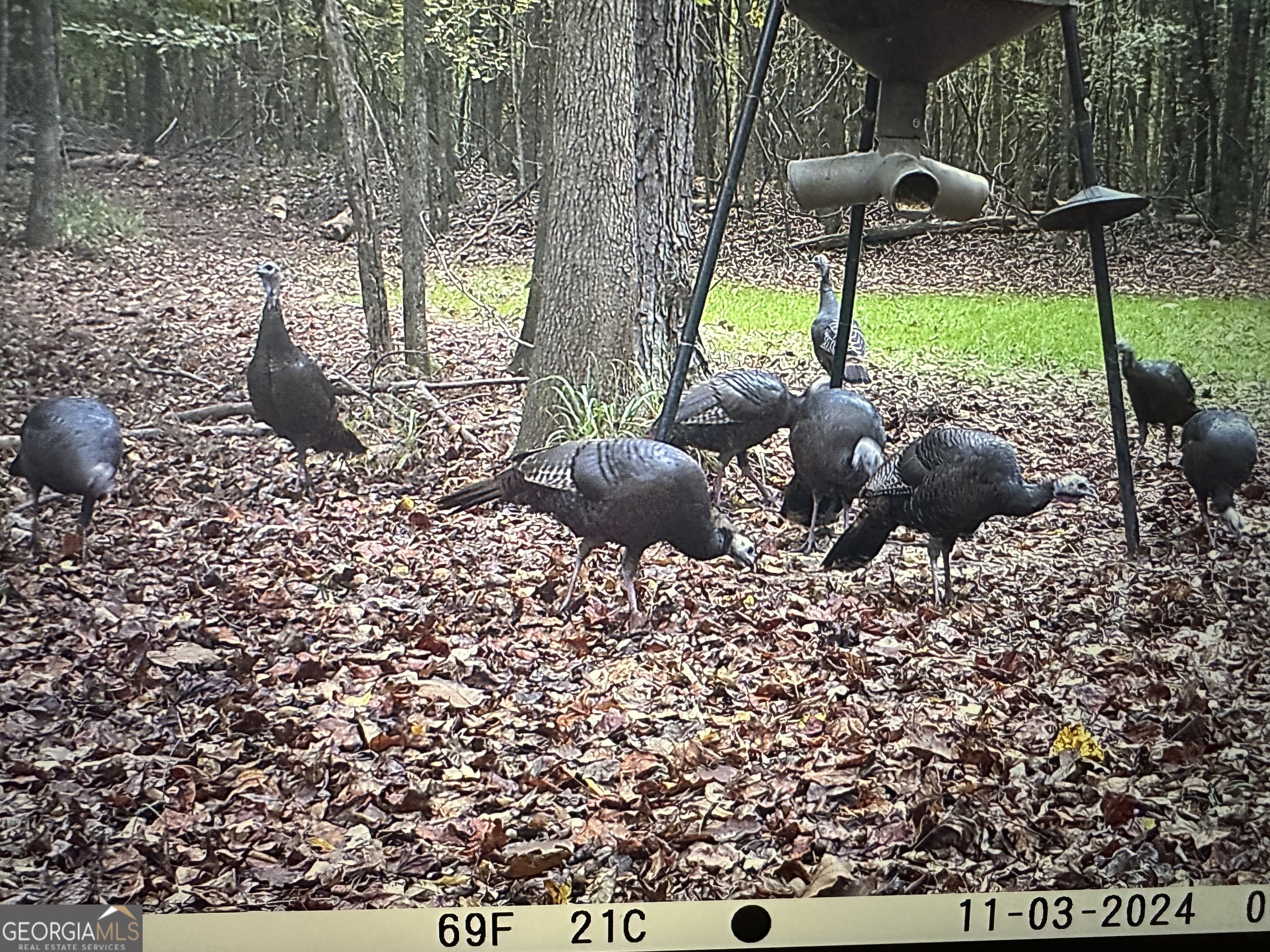 1050 Cedar Grove Drive