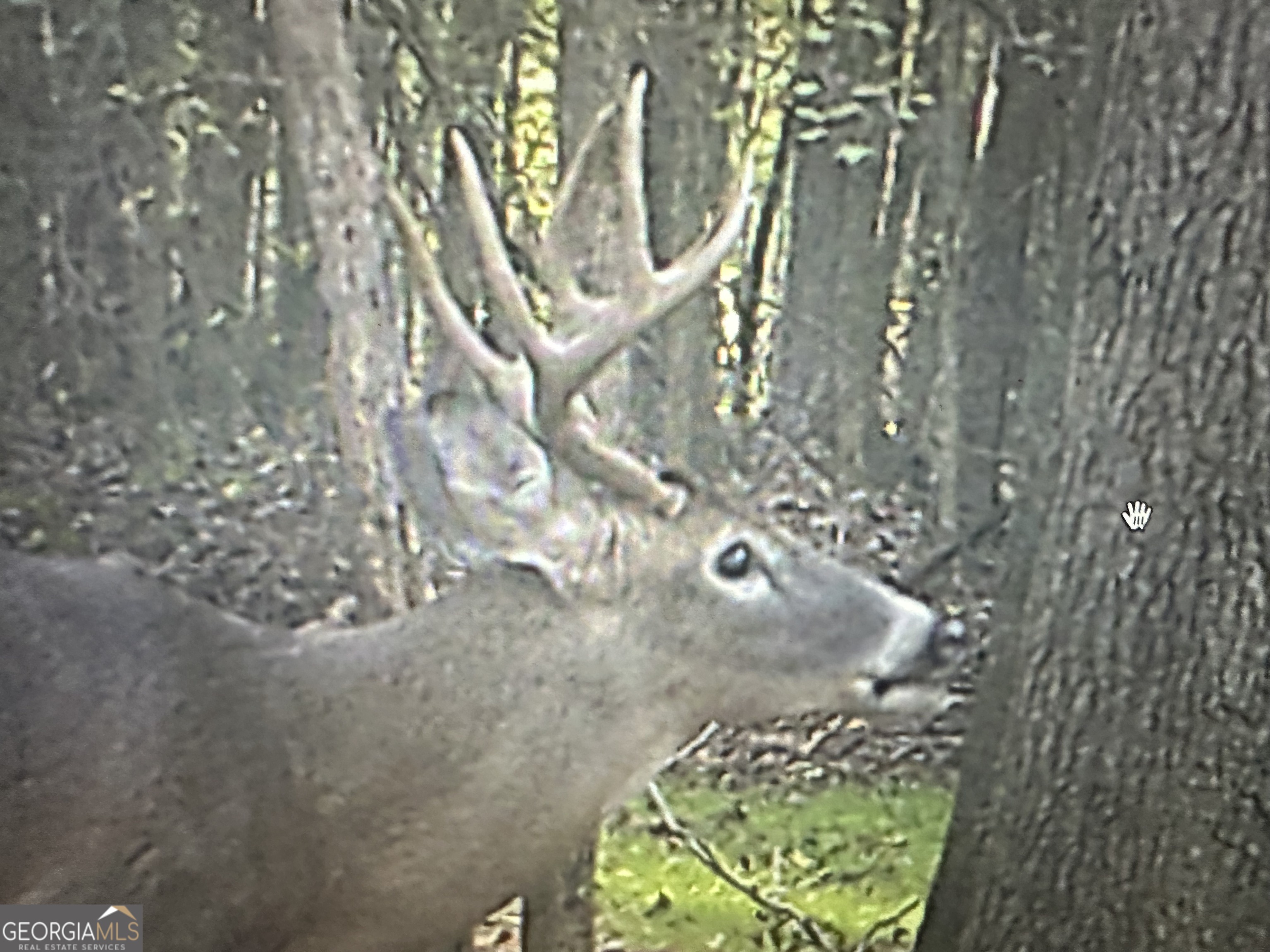 1050 Cedar Grove Drive