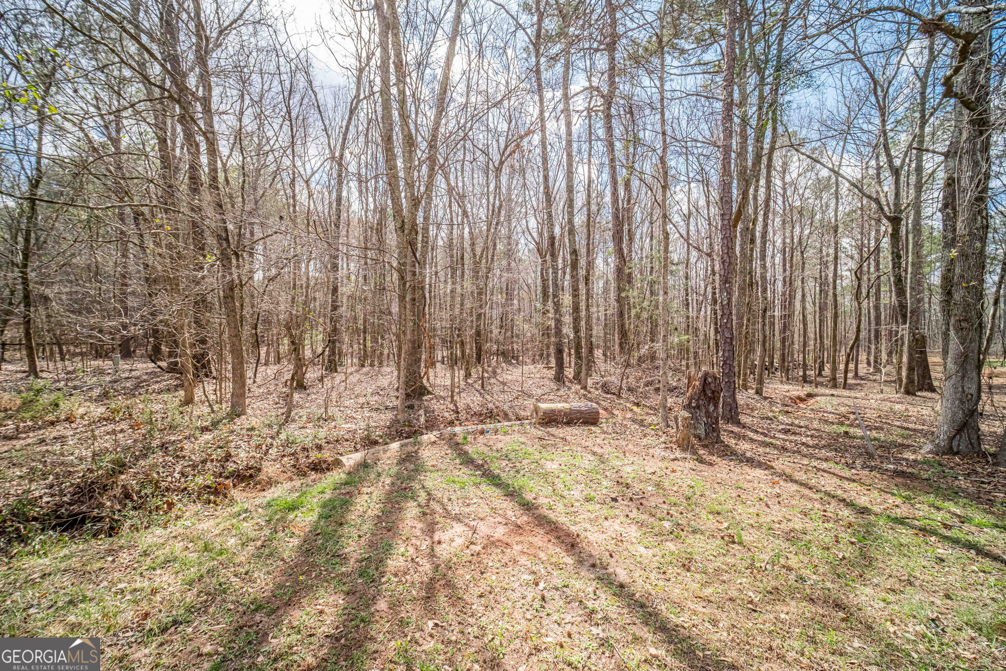 262 Azalea Farms Road