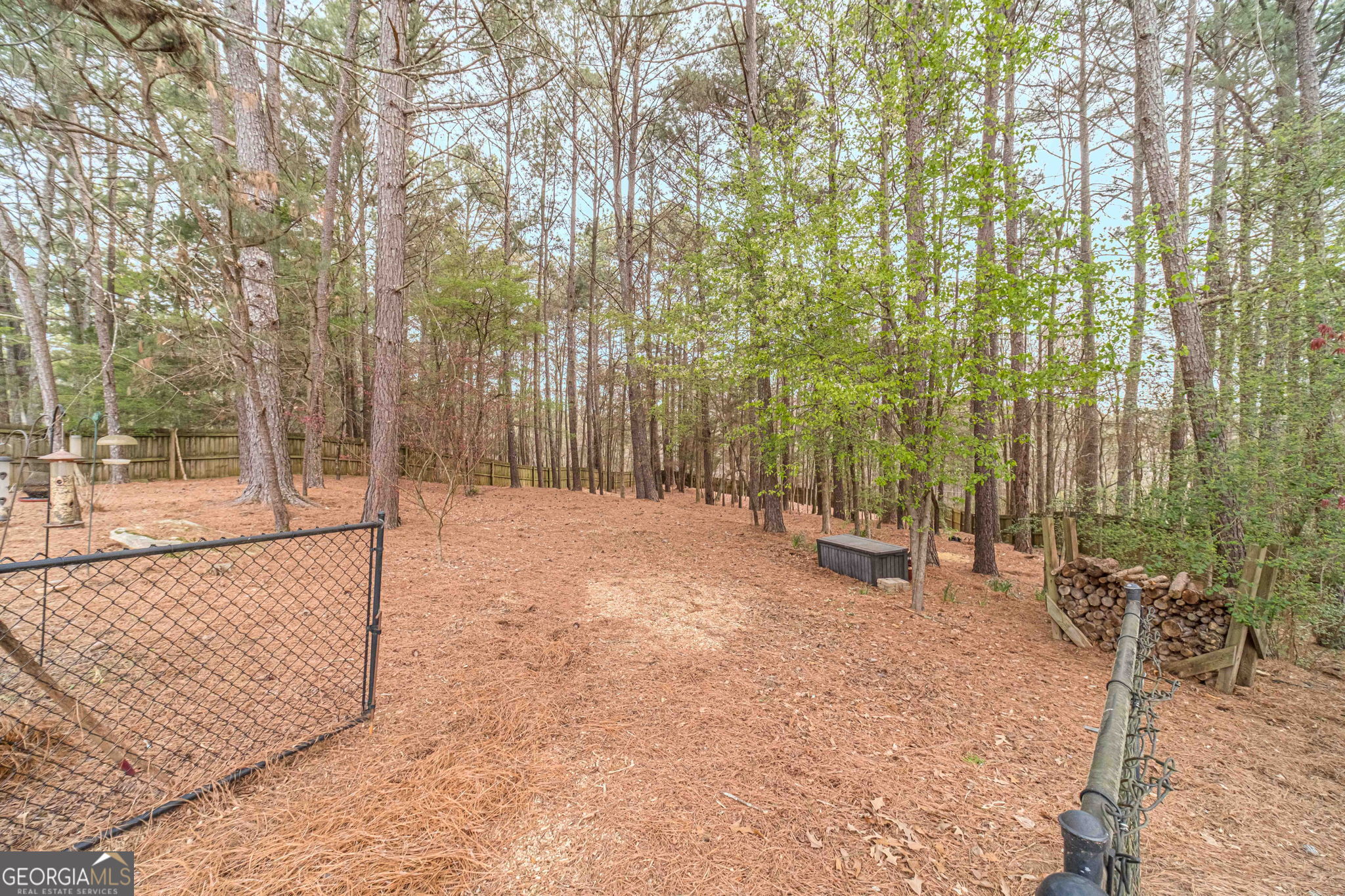 1409 Silver Thorne Court