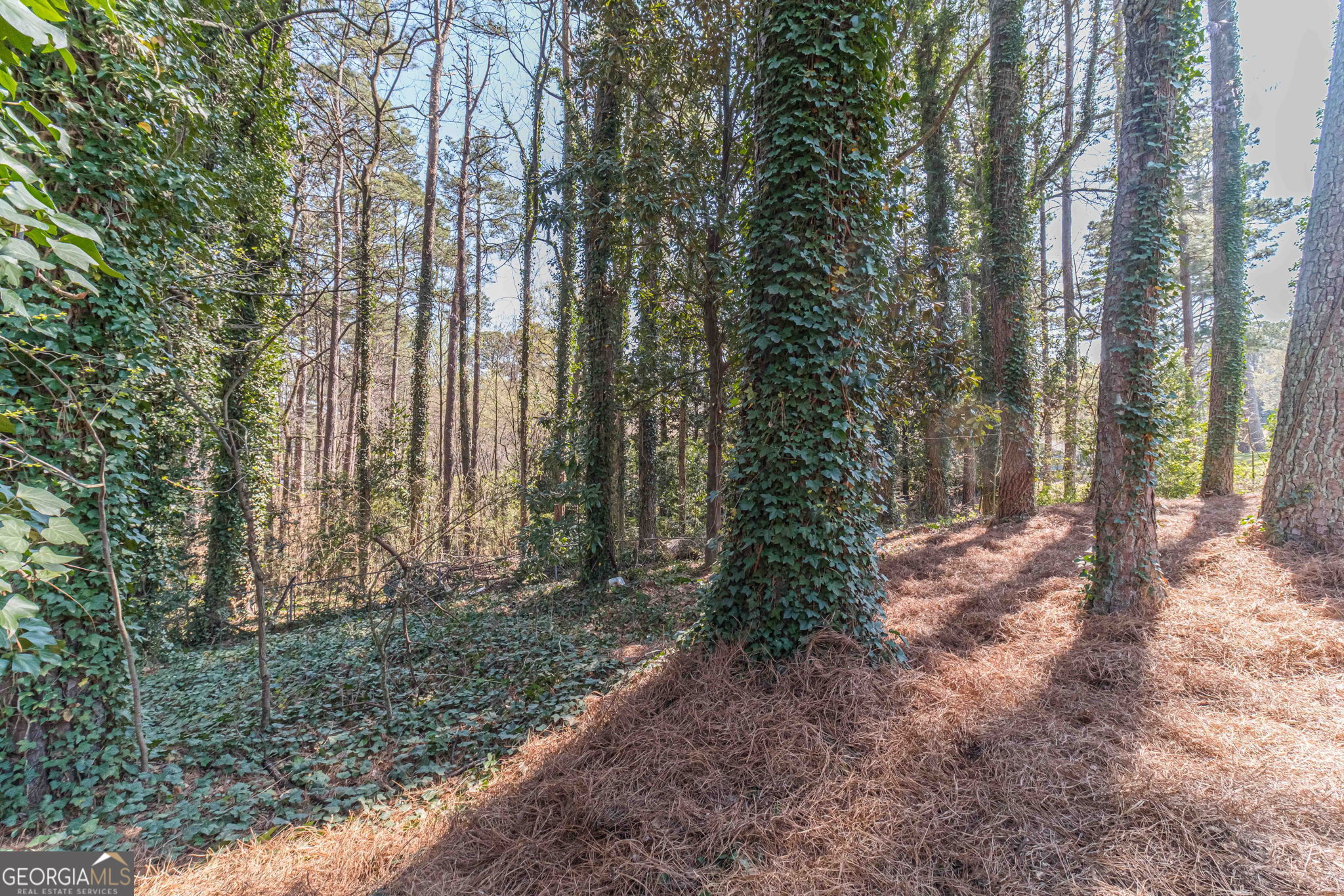 1409 Silver Thorne Court