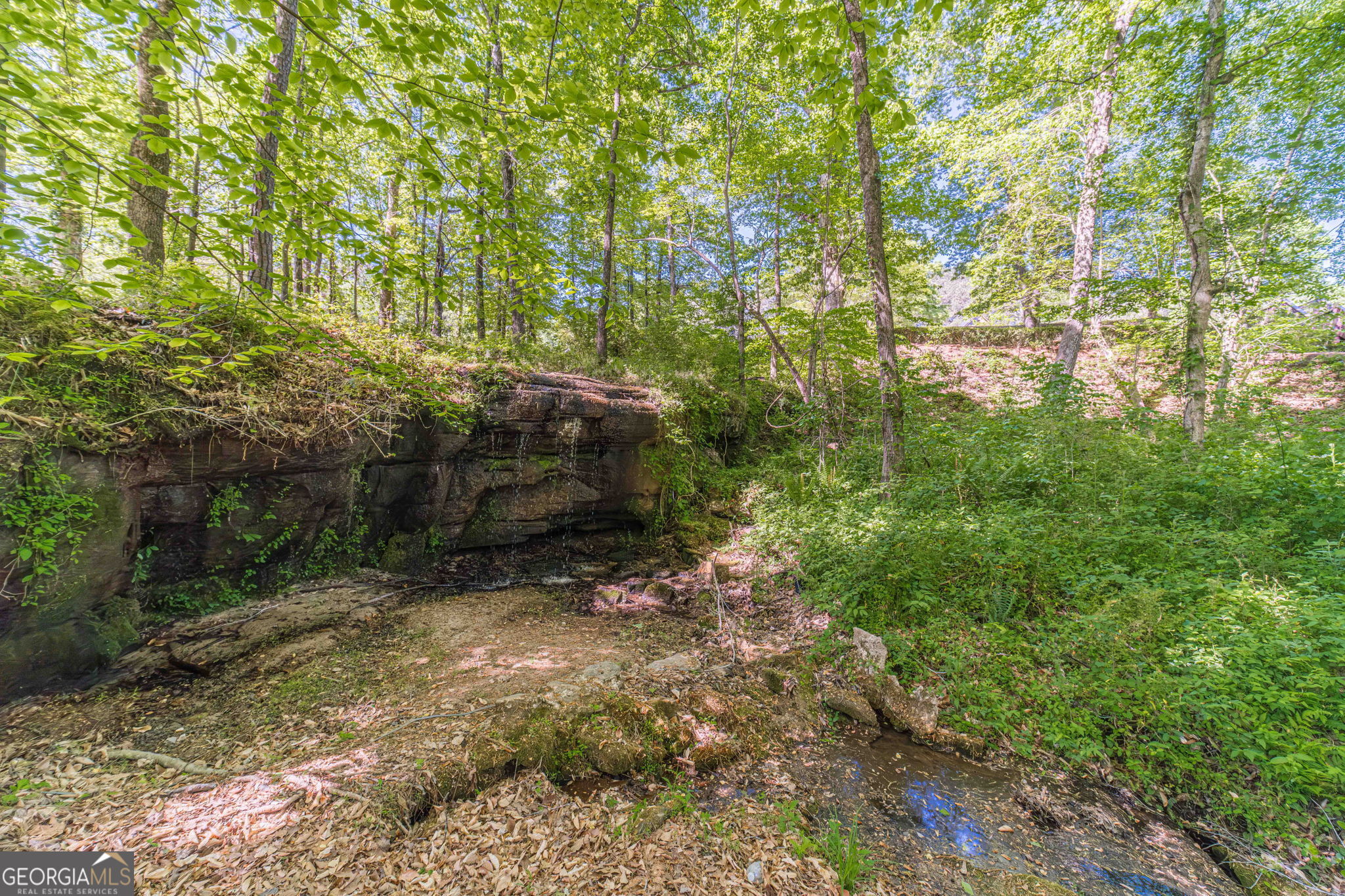 2513 Carleton Gold Road