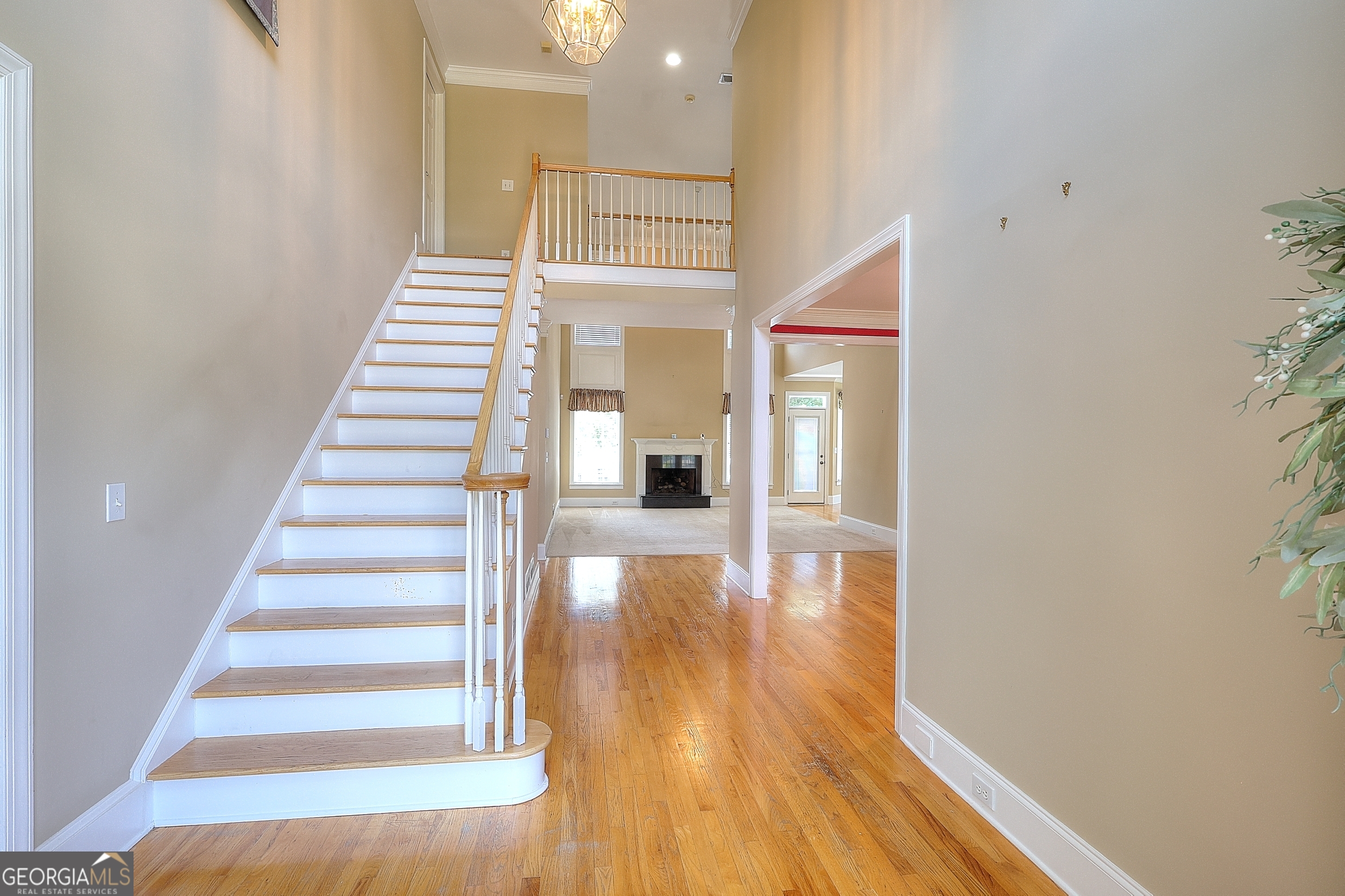 989 Bonniebrook Trail
