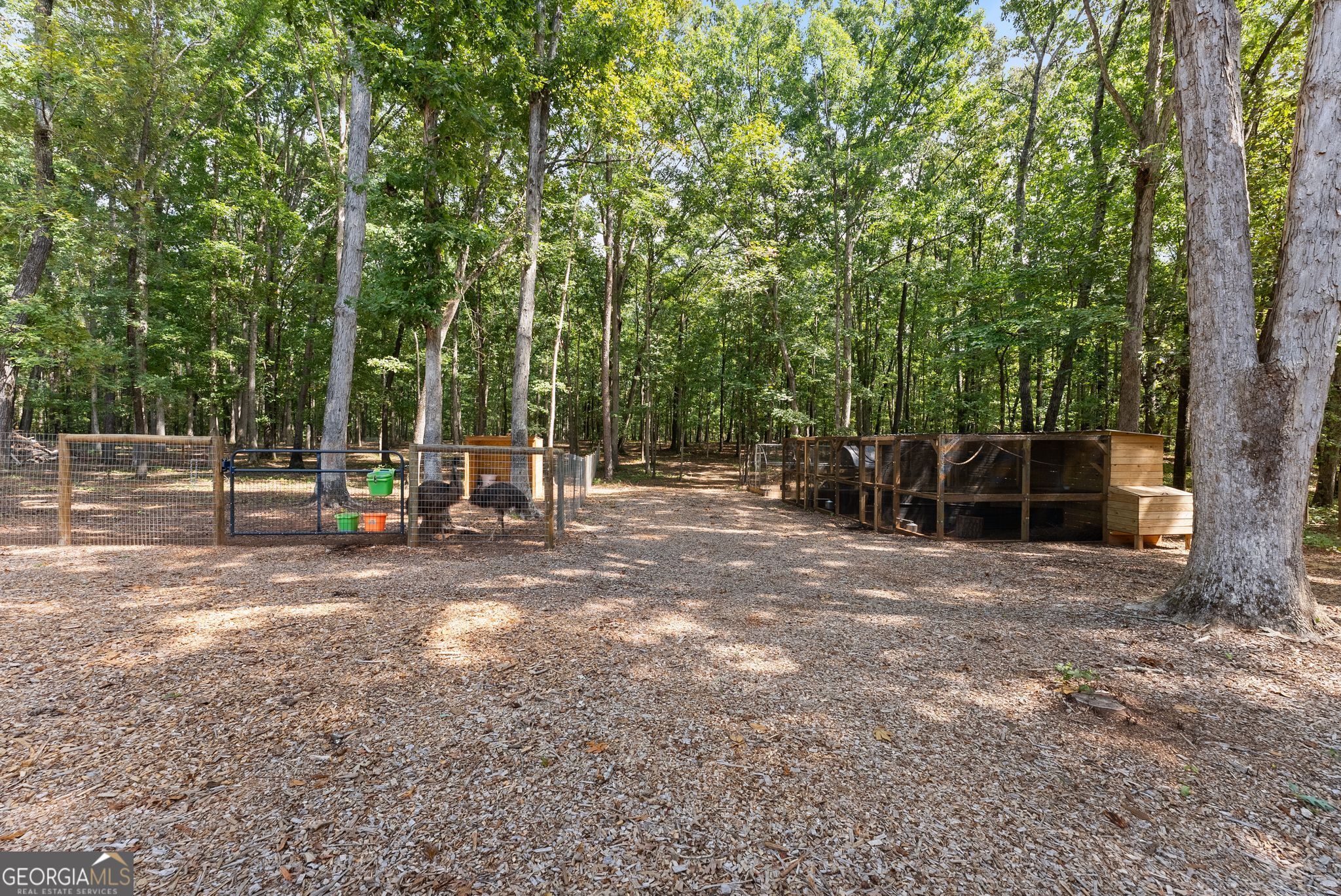 631 Edmondson Road