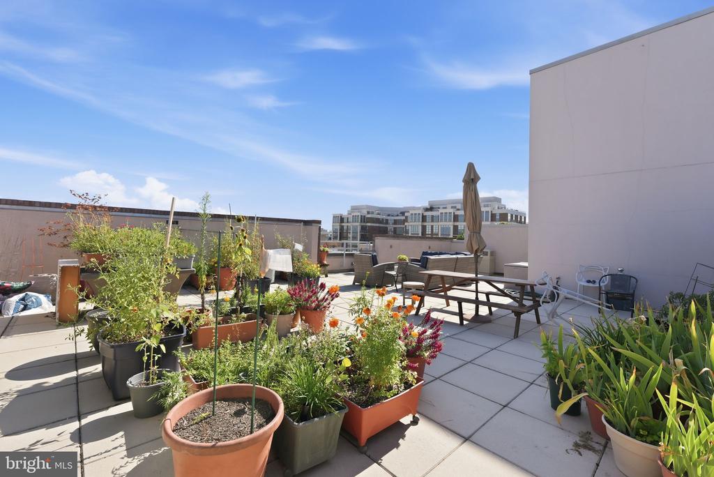 2100 11TH STREET NW Unit: 406