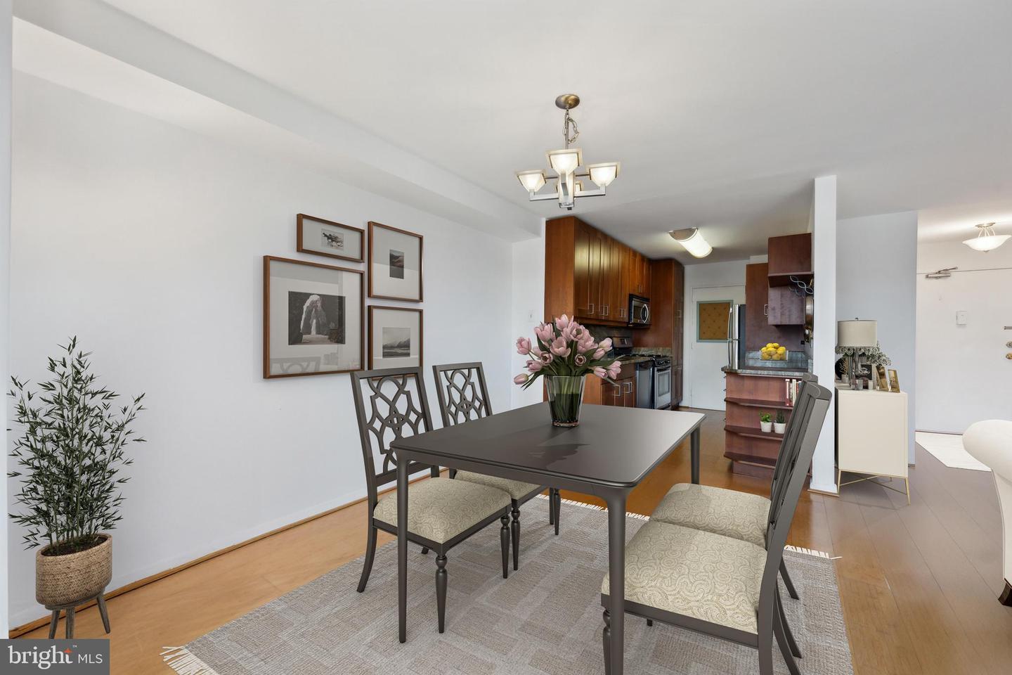 1900 LYTTONSVILLE RD #1017