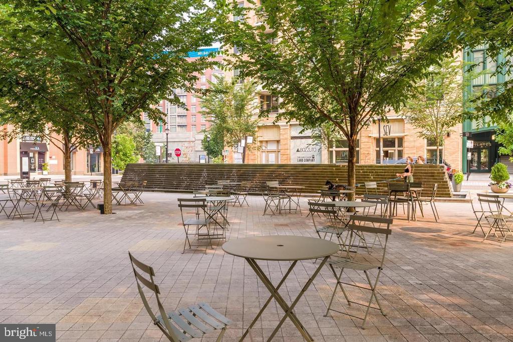 8551 CONNECTICUT AVENUE Unit: 311