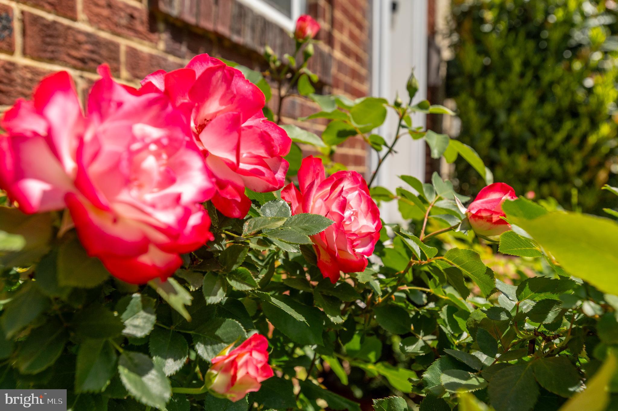 414 E BELLEFONTE AVENUE