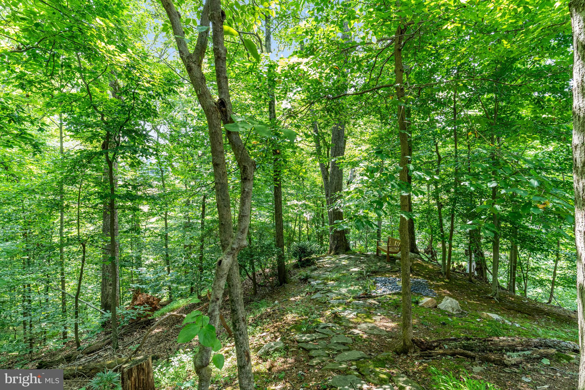 718 Bulls Neck Rd