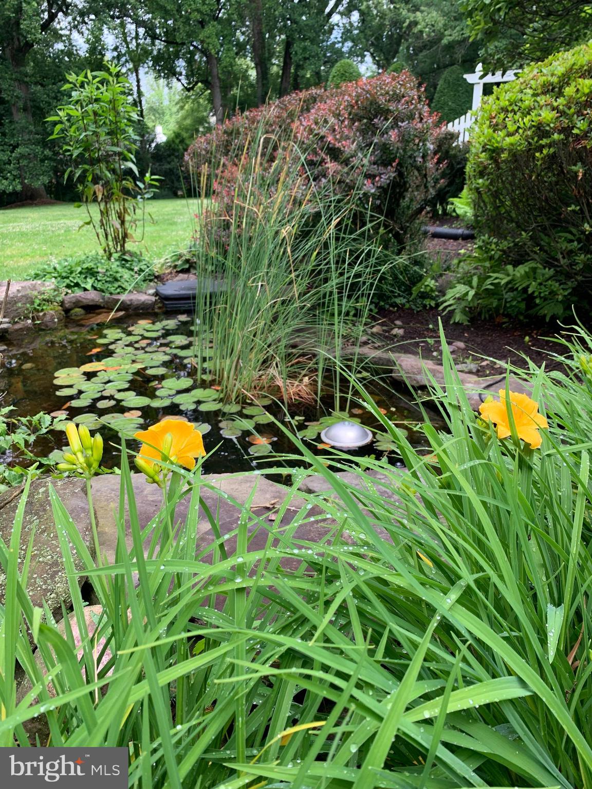 1120 BALLS HILL ROAD