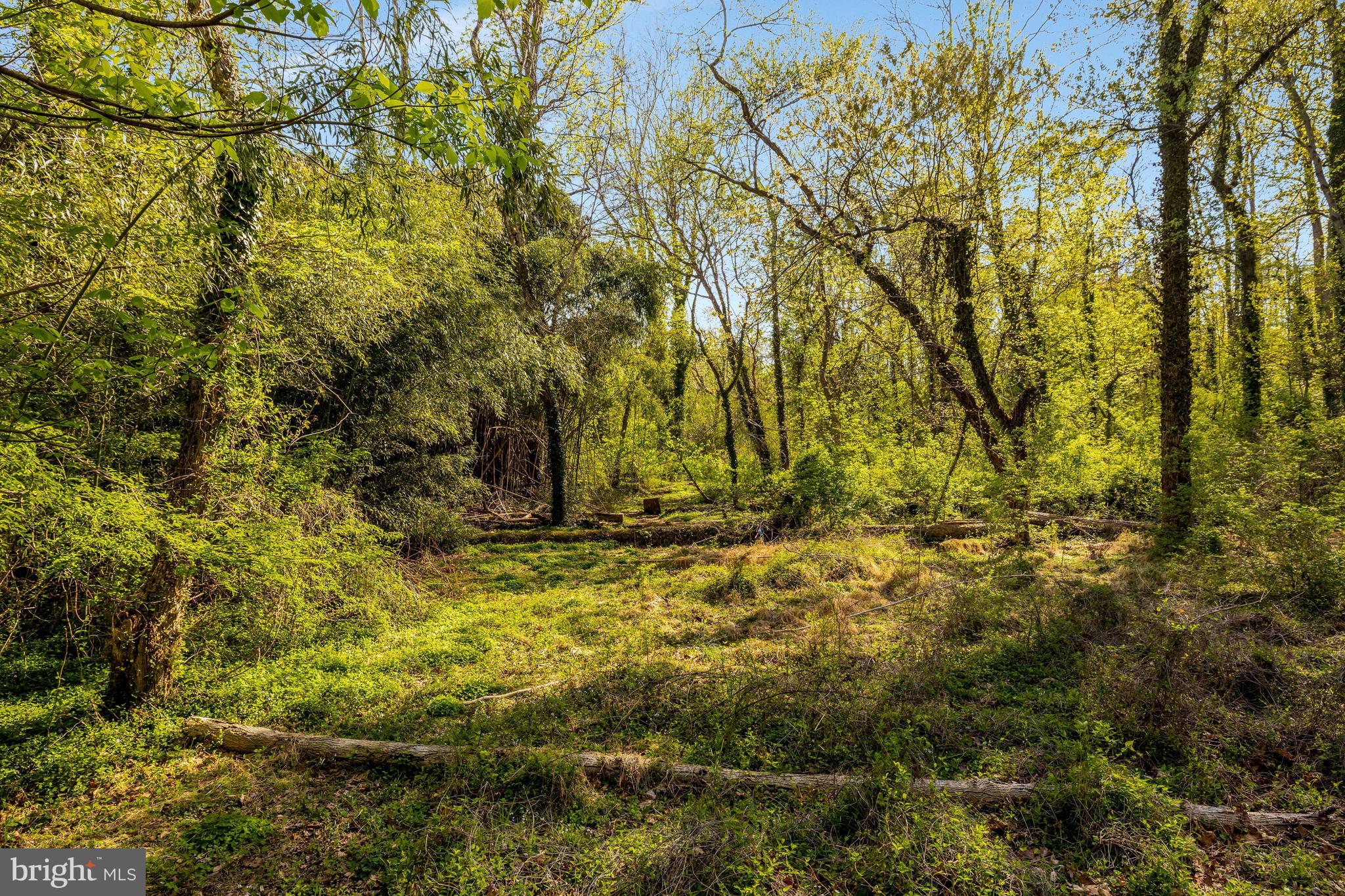 1432 WAGGAMAN CIRCLE