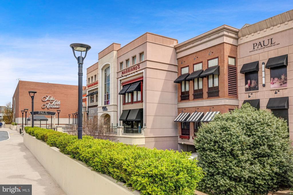 7887 JONES BRANCH DRIVE Unit: 503
