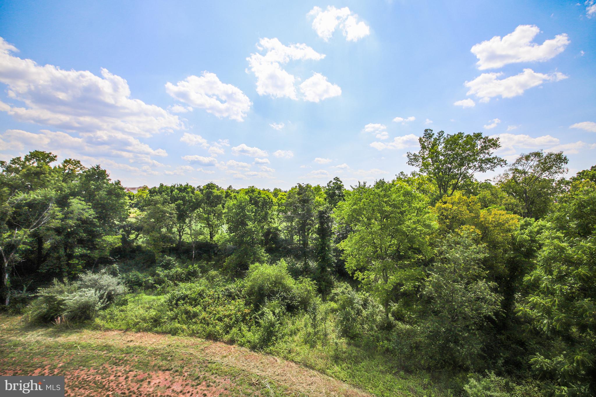 44691 WELLFLEET DRIVE Unit: 309