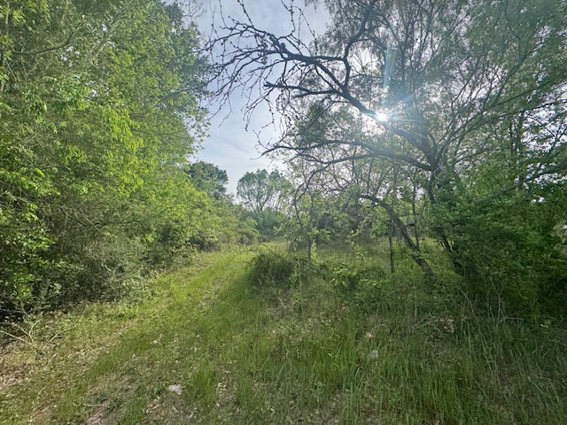 25230 Lake Ridge Drive