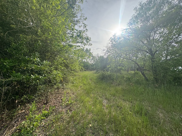 25230 Lake Ridge Drive