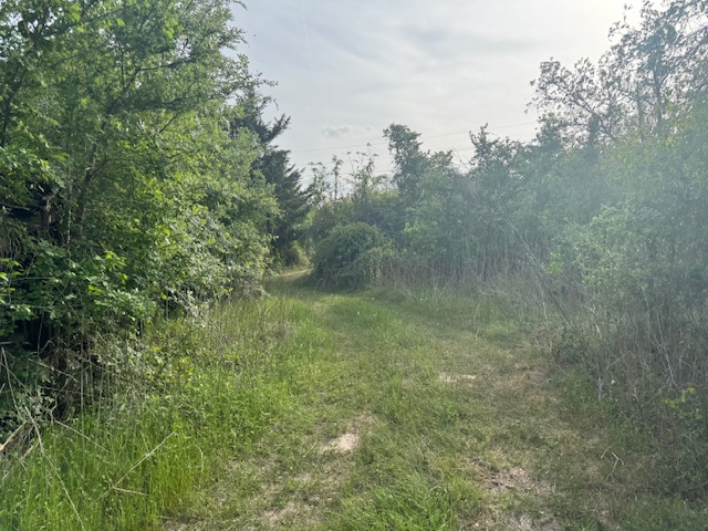 25230 Lake Ridge Drive