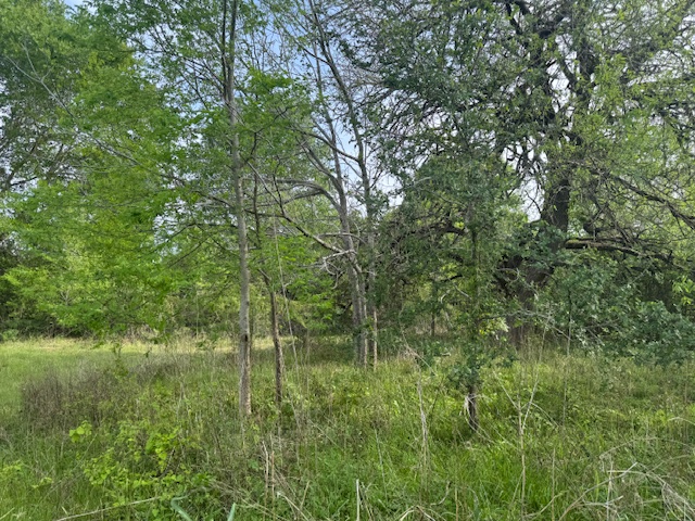 25230 Lake Ridge Drive