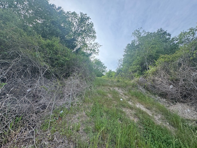 25230 Lake Ridge Drive