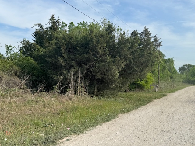 25230 Lake Ridge Drive