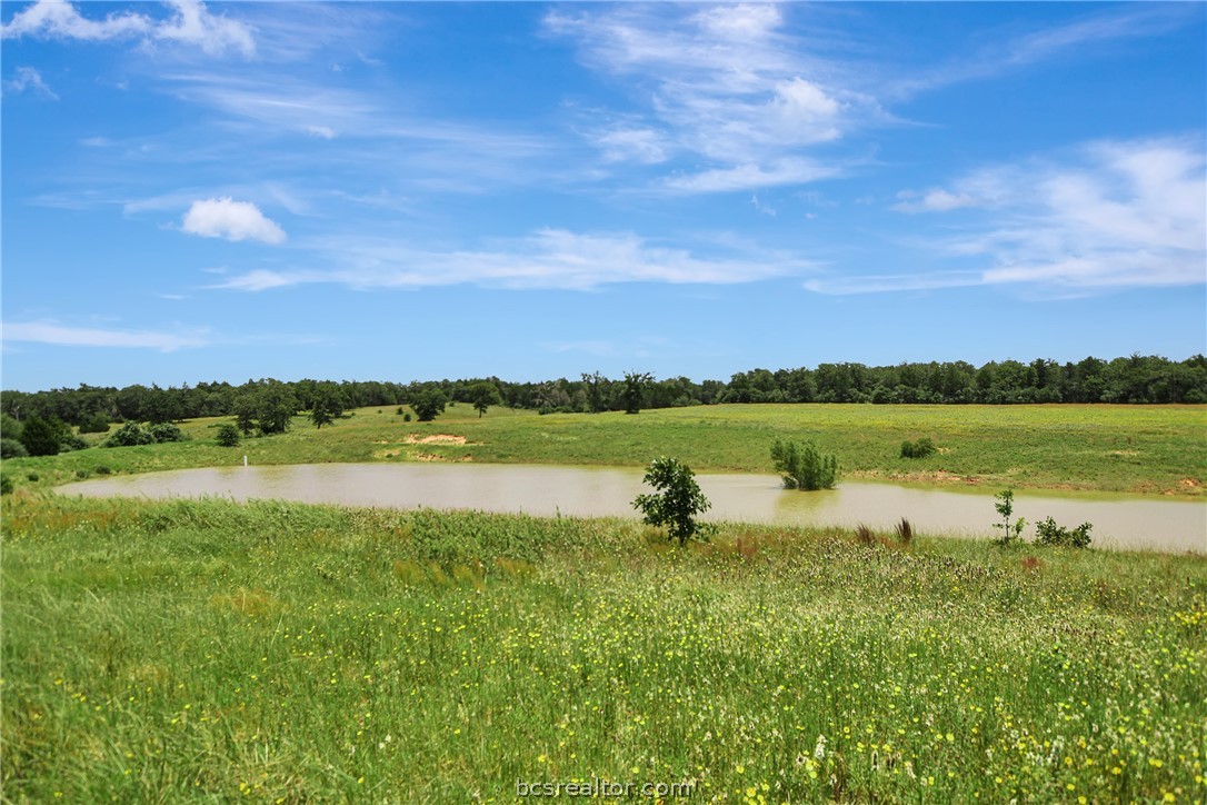 849 COUNTY ROAD 331A