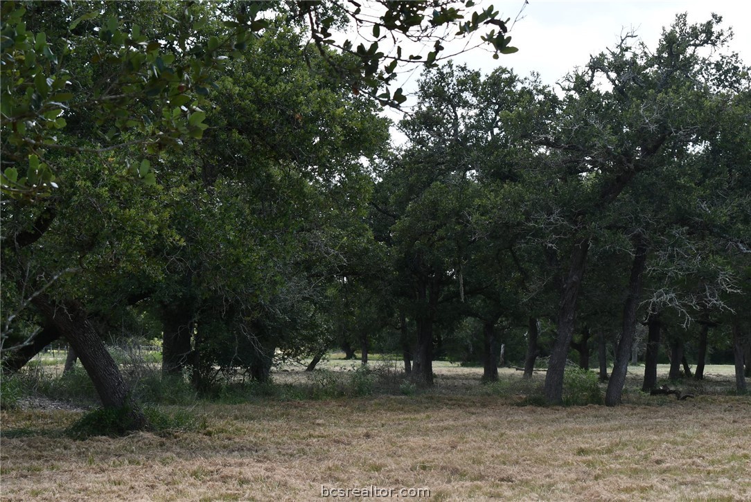 14600 FM 530 Farm to Market Road