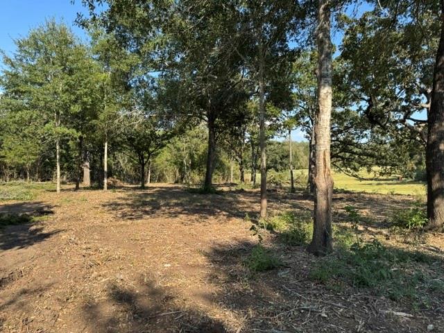 Wooded lot with a cleared area beneath mature trees and open grassy land beyond.
