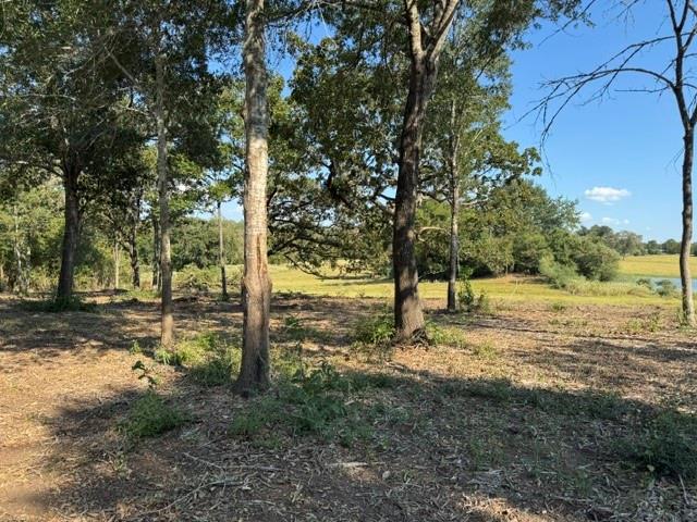 Wooded vacant land with an open grassy field and a small pond in the distance.