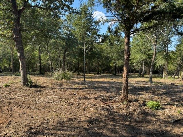 Wooded lot with a cleared, leaf-covered area and a utility pole.