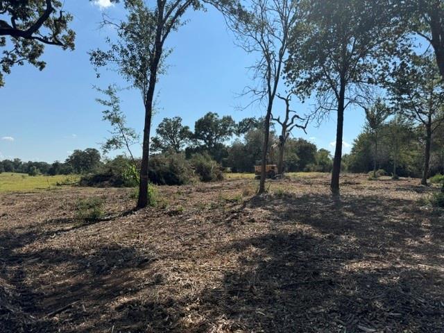 Partially cleared rural lot with scattered mature trees and open grassy ground.
