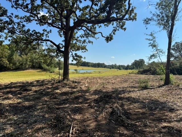Open land with a pond beyond two mature trees and a cleared foreground.