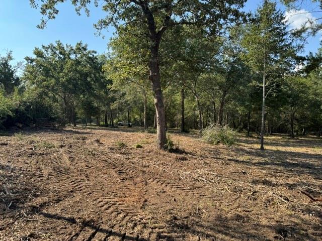 Partially cleared wooded lot with mature trees and tire tracks across the leaf-covered ground.