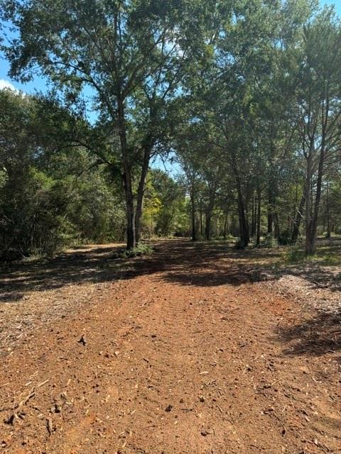 Wooded lot with a broad reddish dirt clearing beneath mature trees.