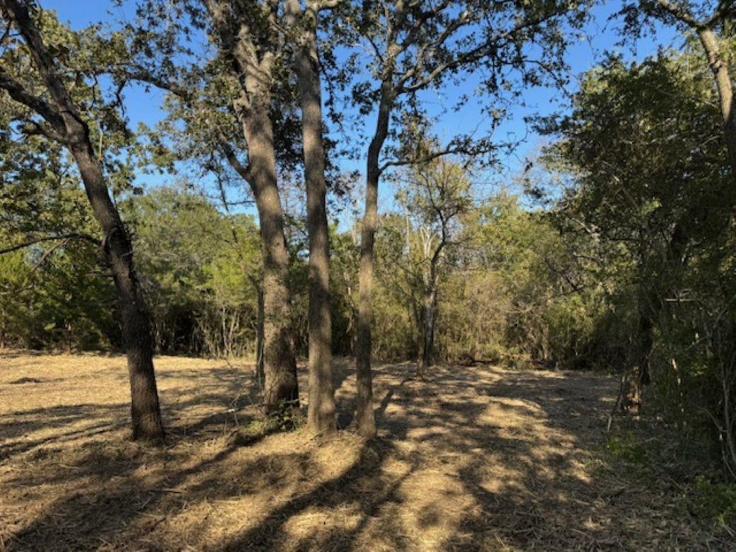 Wooded land with mature trees around a partially cleared area.