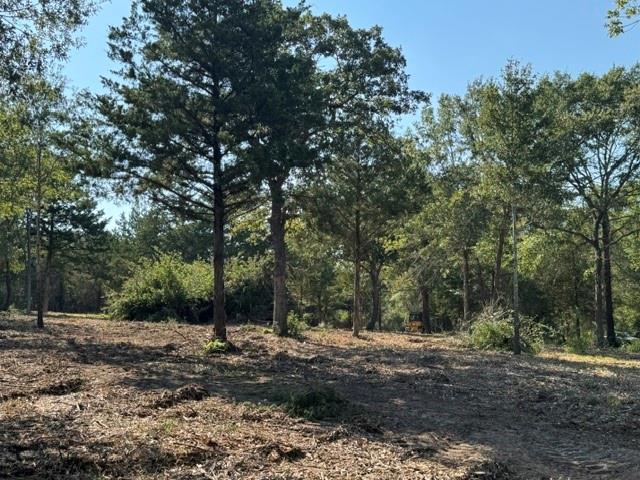 Wooded land with a cleared foreground and mature trees.