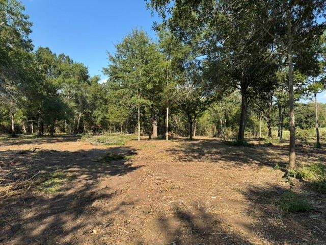Partially cleared wooded lot surrounded by mature trees.