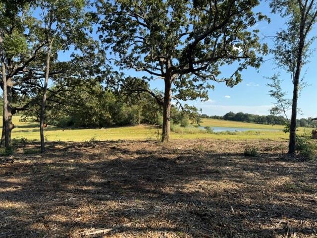 Rural land with mature trees, an open field, and a pond in the distance.