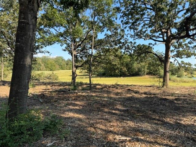 Wooded parcel with mature trees framing an open grassy field.