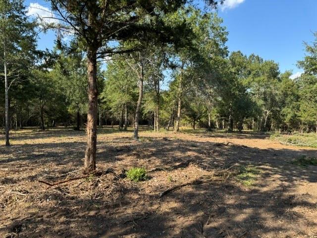 Wooded vacant lot with mature trees around a broad clearing of bare ground.