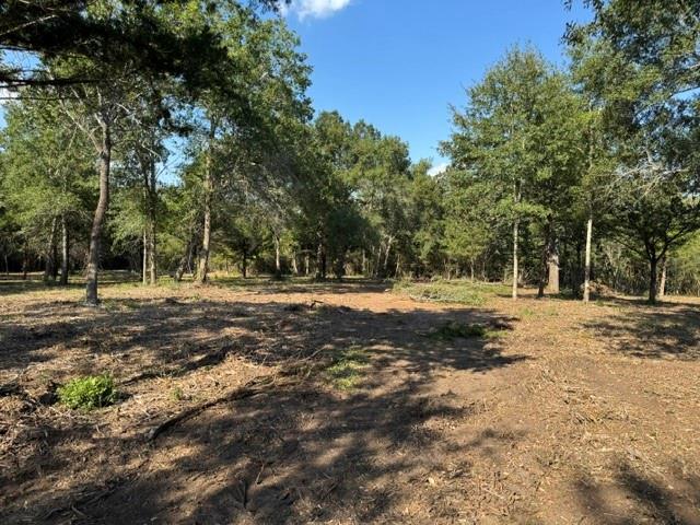 Cleared area on a wooded lot with mature trees around the perimeter.