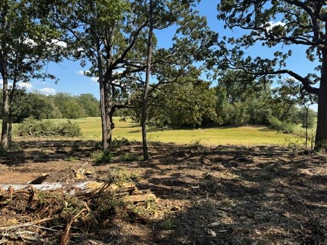 Open grassy land bordered by trees, with mature oaks shading the cleared foreground.