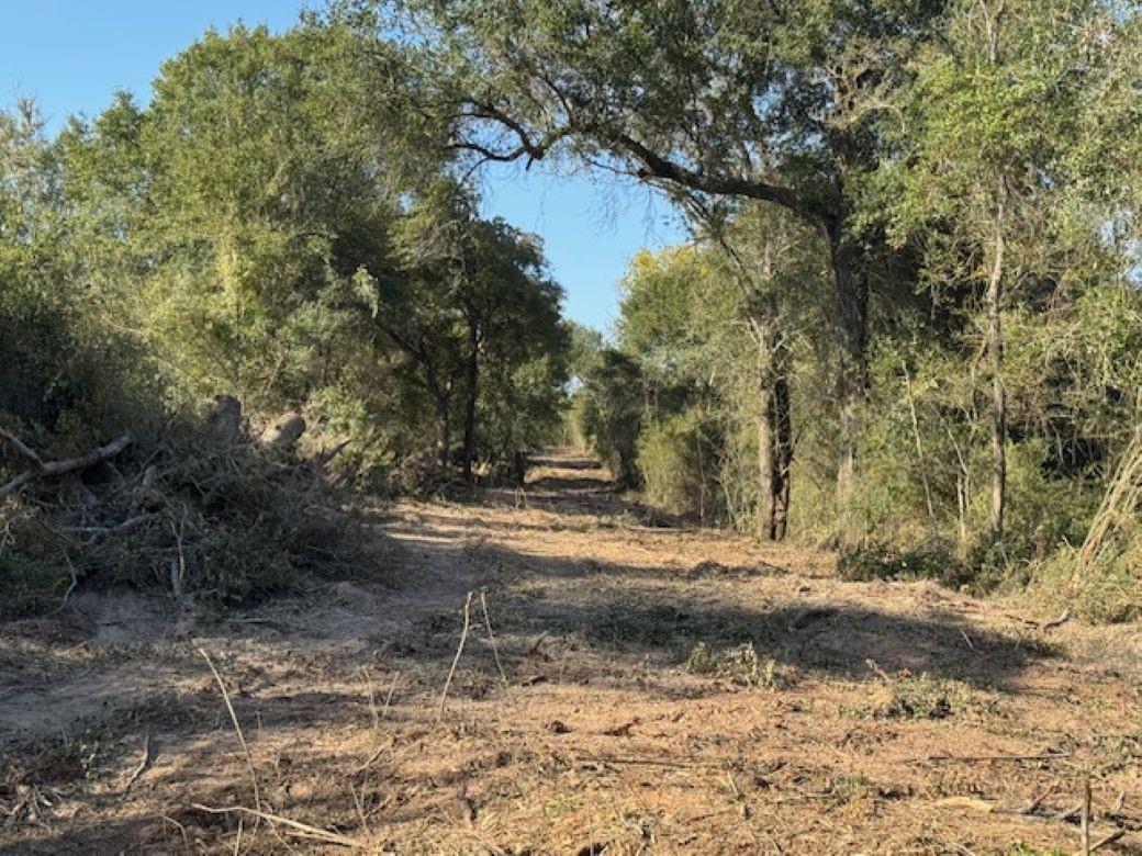 TBD Sweed Road