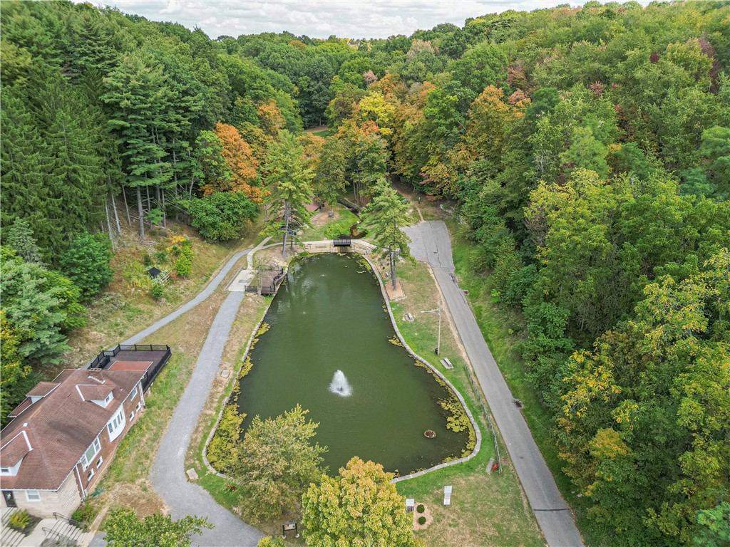 102 Buehner Dr