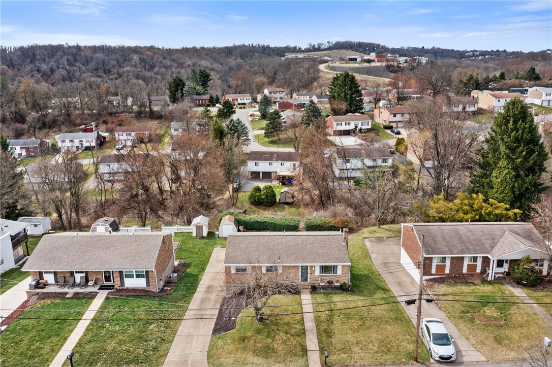 1075 Fiddleback Dr