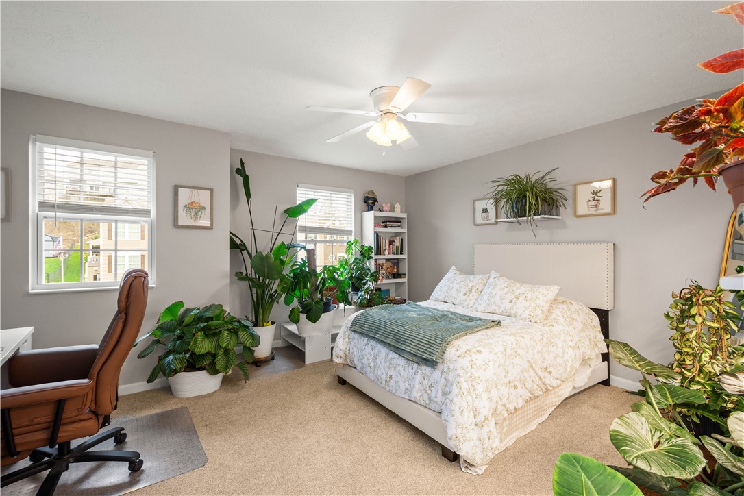 313 Everest Circle
