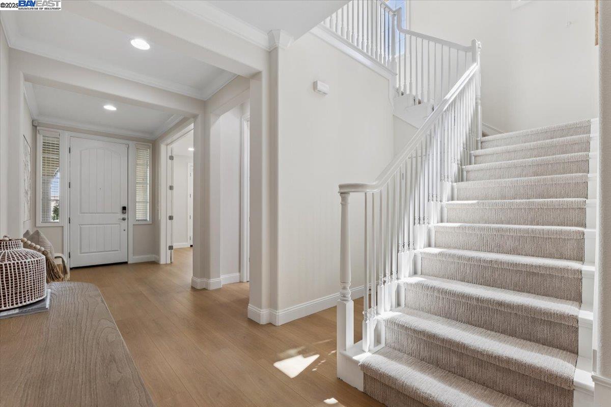 3565 Rimini Ln